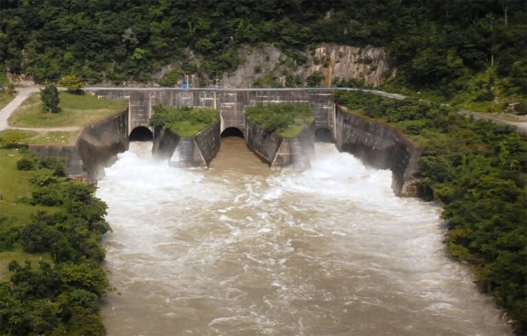 PRESA CERRO DE ORO 1