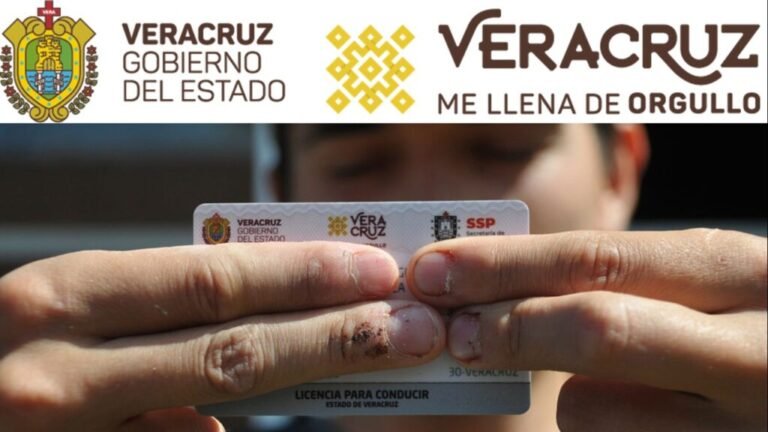 Licencias ver