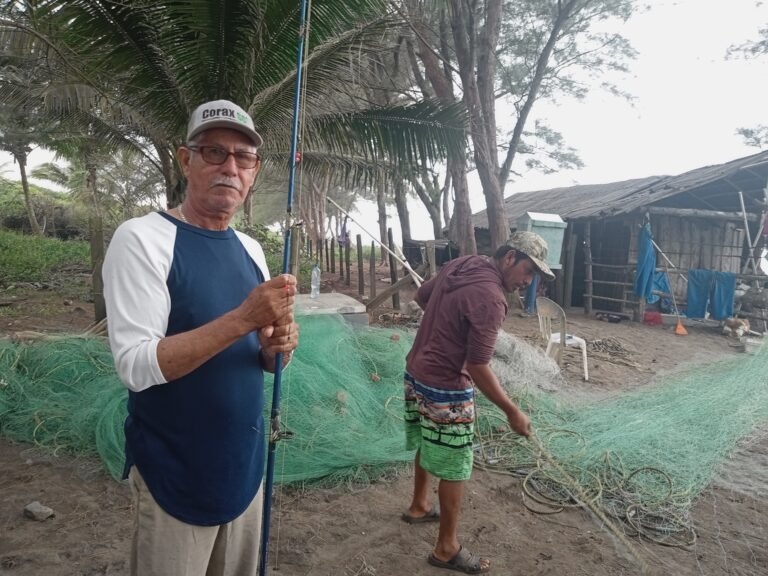 IMG_20251206_144131852_MFNR