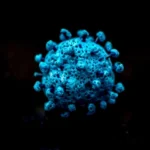 CIGARRA COVID-19 (1)