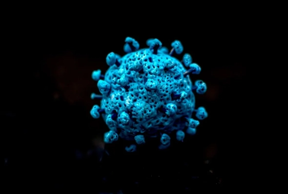 CIGARRA COVID-19 (1)