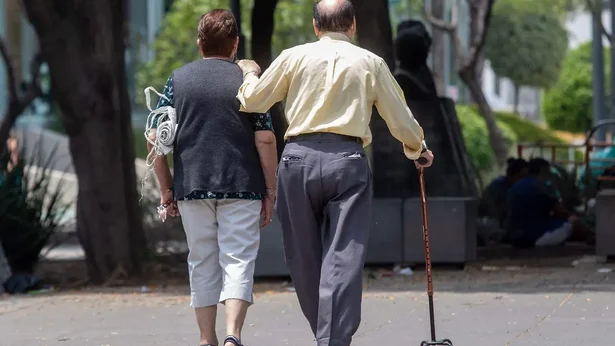 adultos (1)