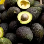 aguacate-hass (1)