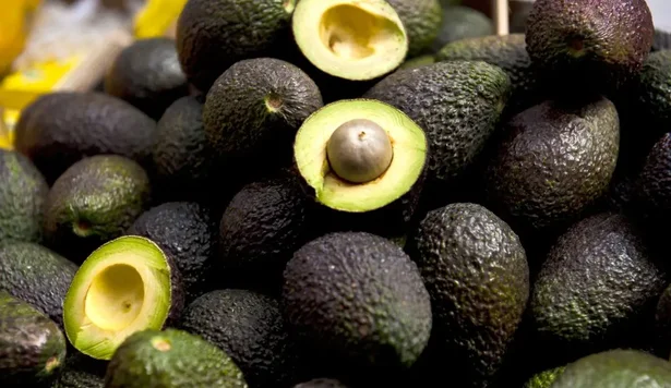 aguacate-hass (1)
